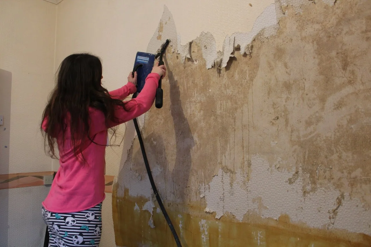 Wallpaper Removal Process